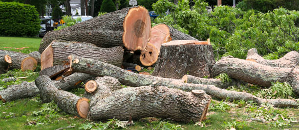 Lawn Renovation and Restoration in Floral Park, NY
